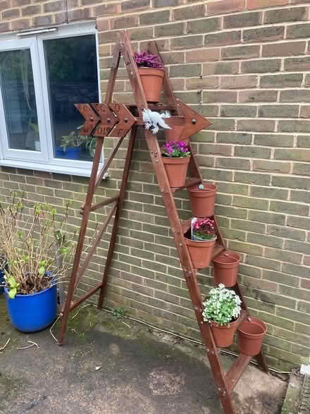 Photo of free Ladder for plants (Harrietsham ME17) #3