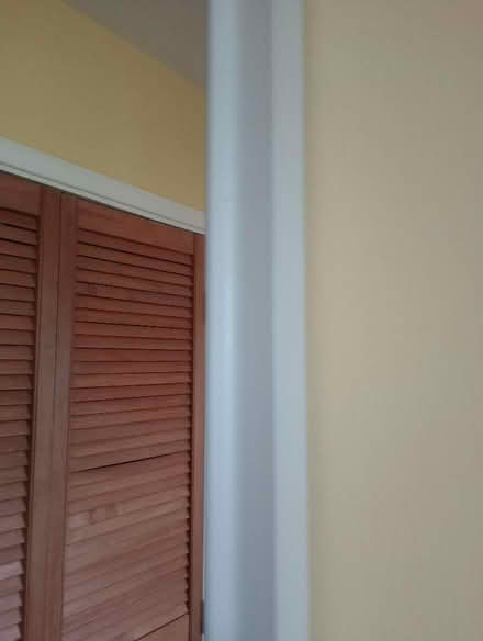 Photo of free Very tall mirror (Kingsway) #3