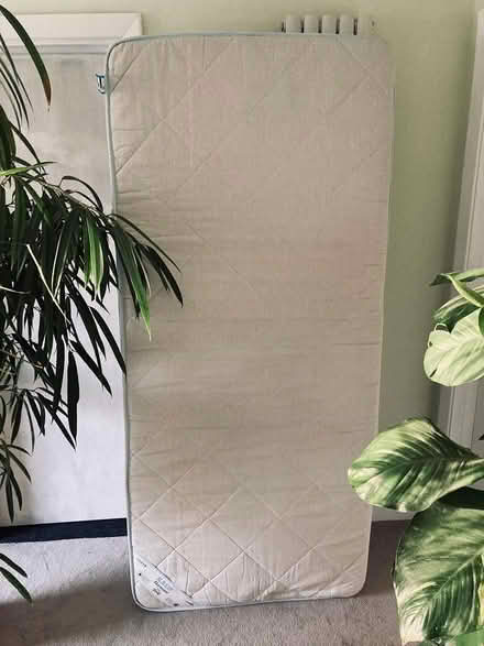 Photo of free Single mattress (Filsham Road TN38) #2