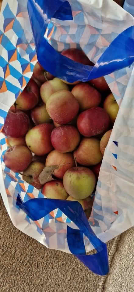 Photo of free 6 x carrier bags of apples (Alvaston DE24) #1