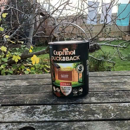 Photo of free Various pots of paint (Marcham OX13) #1