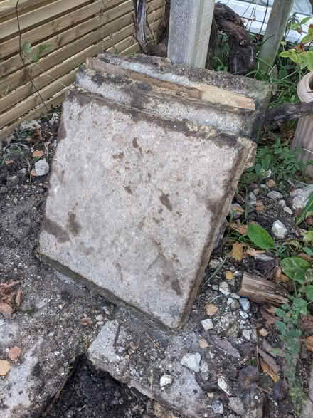 Photo of free Garden slabs for allotment / garden (Lewes - near the prison) #3