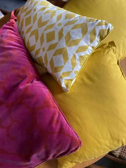 Photo of free Cushions (Penrith CA11) #1