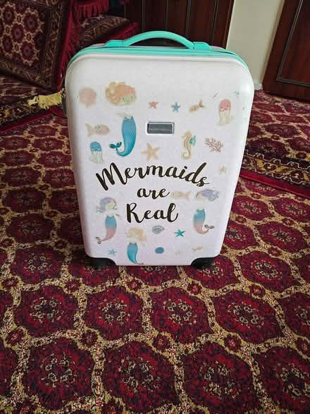 Photo of free Cabin bag (Forest Gate E7) #3