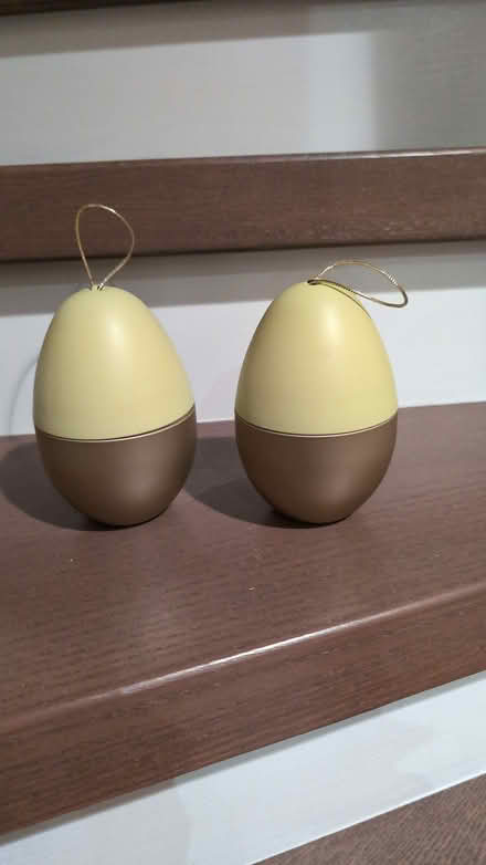 Photo of free Fillable Eggs (Trafalgar/River Oaks, Oakville) #1