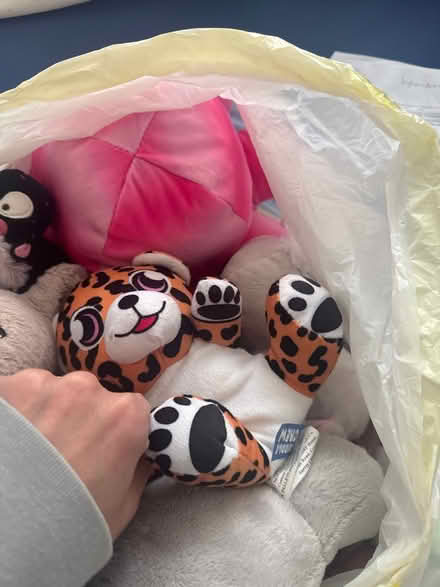 Photo of free Cuddly toys (Whetstone N20) #3