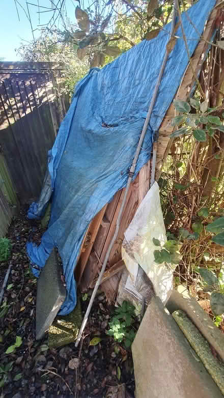 Photo of free Shed 6 x 4 (Chichester Lavant PO18) #2