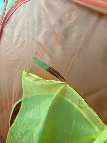 Photo of free Soft play ball pit tent (CR2 South Croydon) #1