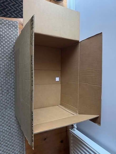 Photo of free Strong cardboard box (South Harting) #1