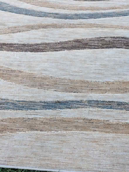 Photo of free Rug/Carpet (Alameda) #3