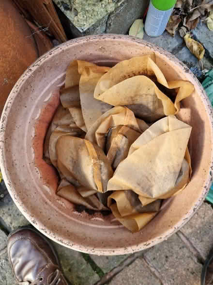 Photo of free Filter coffee grounds for compost (New Malden KT3) #1