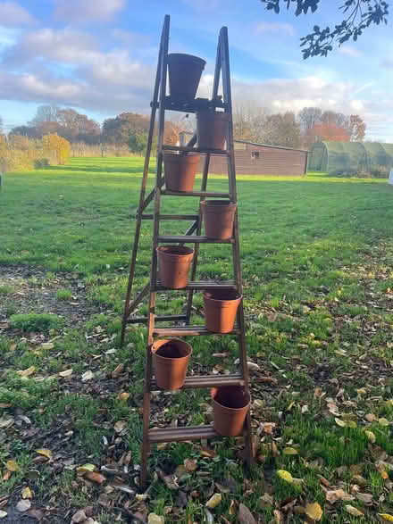 Photo of free Ladder for plants (Harrietsham ME17) #1