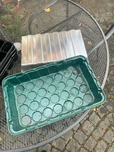 Photo of free Seed trays (Frodsham WA6) #2