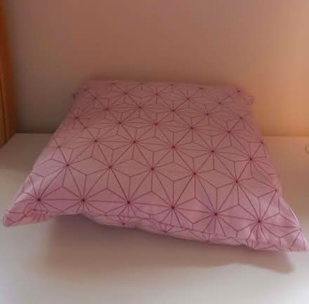 Photo of free Demon Slayer: Kimetsu no Yaiba pattern cushion (Oxford OX4) #3