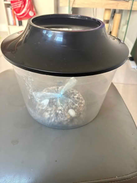 Photo of free Fish bowl (Raheny) #1