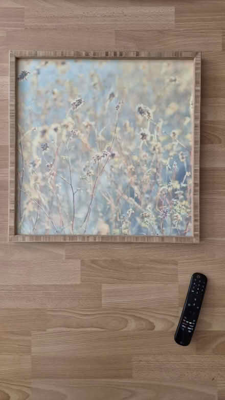 Photo of free Frames, mirror, metal rod, switches (SW8 1an) #2