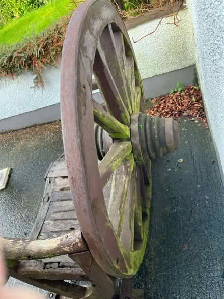 Photo of free Unique garden seat (Larne BT40) #1