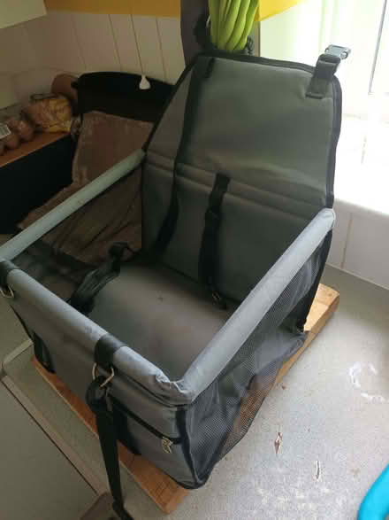 Photo of free Puppy car. Crate (Low Hesket CA4) #1