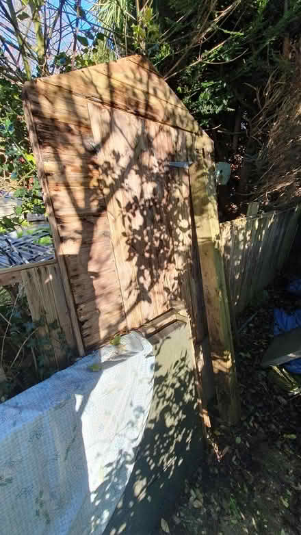 Photo of free Shed 6 x 4 (Chichester Lavant PO18) #3