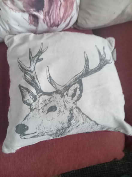 Photo of free Cushion (Lower Morden SM4) #1