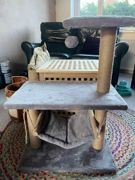 Photo of free Cat tree (Hadfield SK13) #1