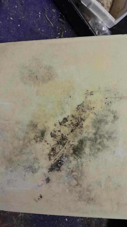 Photo of free Plastering float (Smiths Estate OX28) #3