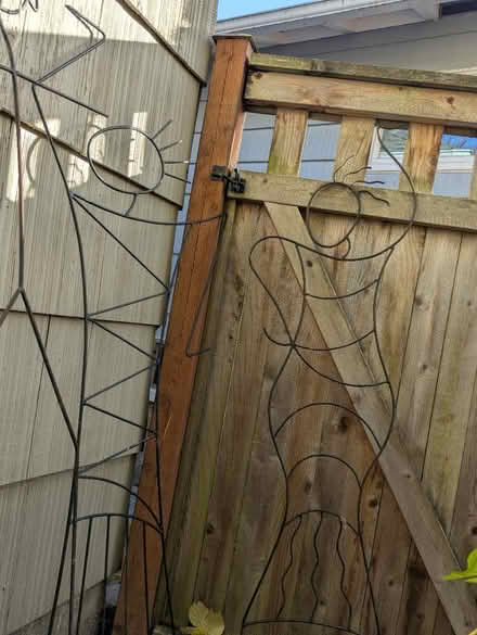 Photo of free Black metal garden supports (Greenlake) #3