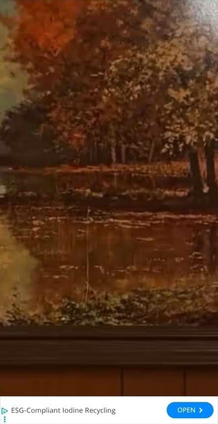 Photo of free Framed Print (Lansdale, PA) #2