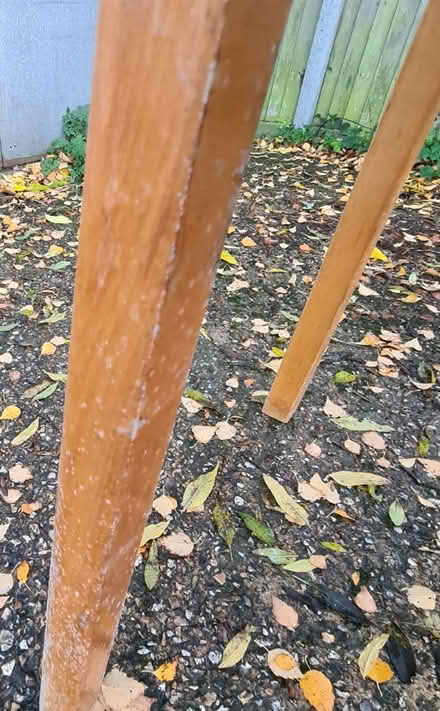 Photo of free Blue Melamjne Kitchen Table (Southgate RH11) #3