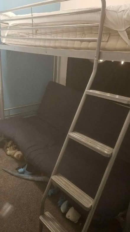 Photo of free Double futon bunk bed (Mendham IP20) #4