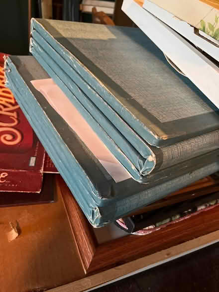 Photo of free Twin folding bed boards (Oradell) #1