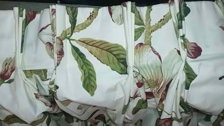 Photo of free Curtains (North Hinksey OX2) #1