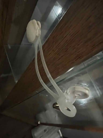 Photo of free Glass display cabinet (Southborough BR2) #3