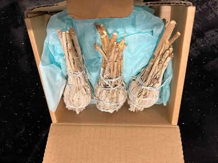 Photo of free Ancient Blessing - White Sage (Fobbing SS17) #3