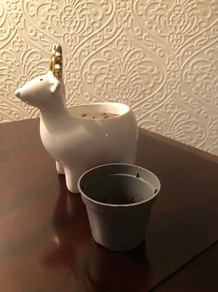Photo of free Reindeer plant holder (Sale M33) #2