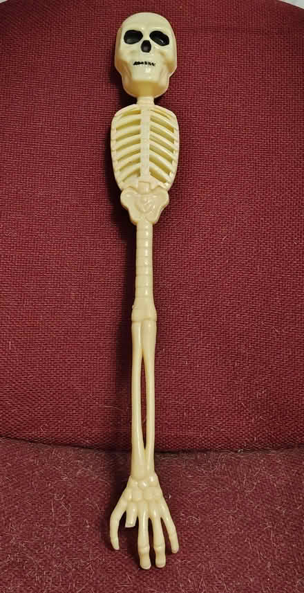 Photo of free Plastic skull and back scratcher (Fremont) #4