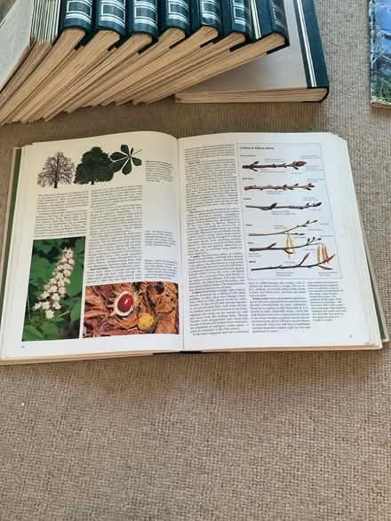 Photo of free Bound set of Living Countryside magazines (Leckhampton GL53) #2
