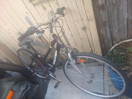 Photo of free Raleigh female style bike (Morris Park) #1