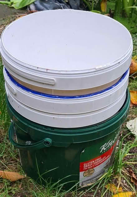 Photo of free 5 large catering rigid tub buckets (ME1) #1