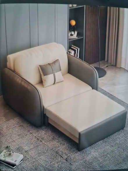 Photo of Single Sofa Bed (Reddish SK5) #1