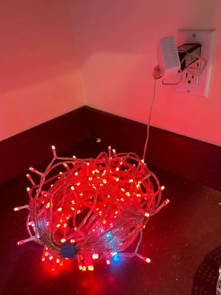 Photo of free Holiday lights - 25 or 30’ (Rhinebeck village) #3