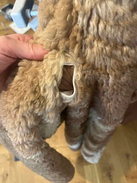 Photo of free Sheepskin coat (SW9) #2