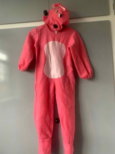 Photo of free Home made Pink Panther costume. (Hillingdon UB10) #1