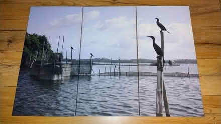 Photo of free Canvas (Southampton SO16) #1