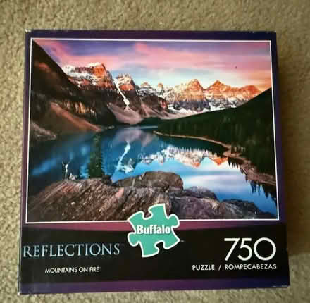 Photo of free Puzzles (Cupertino - DeAnza and 280) #1