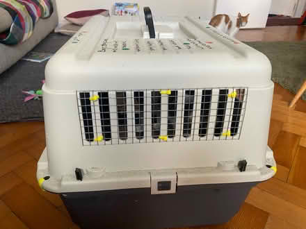 Photo of free Large cat carrier (by Clissold Park N16) #4