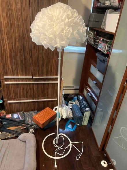 Photo of free Tall frilly lamp (Bathurst and College) #1
