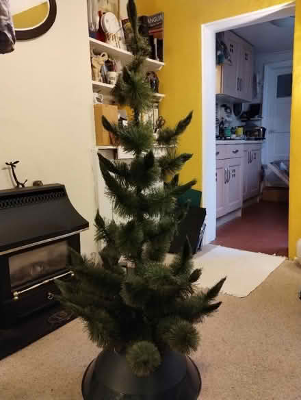 Photo of free Christmas Tree (New Catton NR3) #1