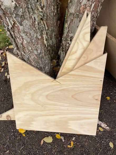 Photo of free 3/4" Plywood Pieces (Winchester) #1
