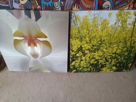 Photo of free 2 x large canvases (Leeds LS7) #1